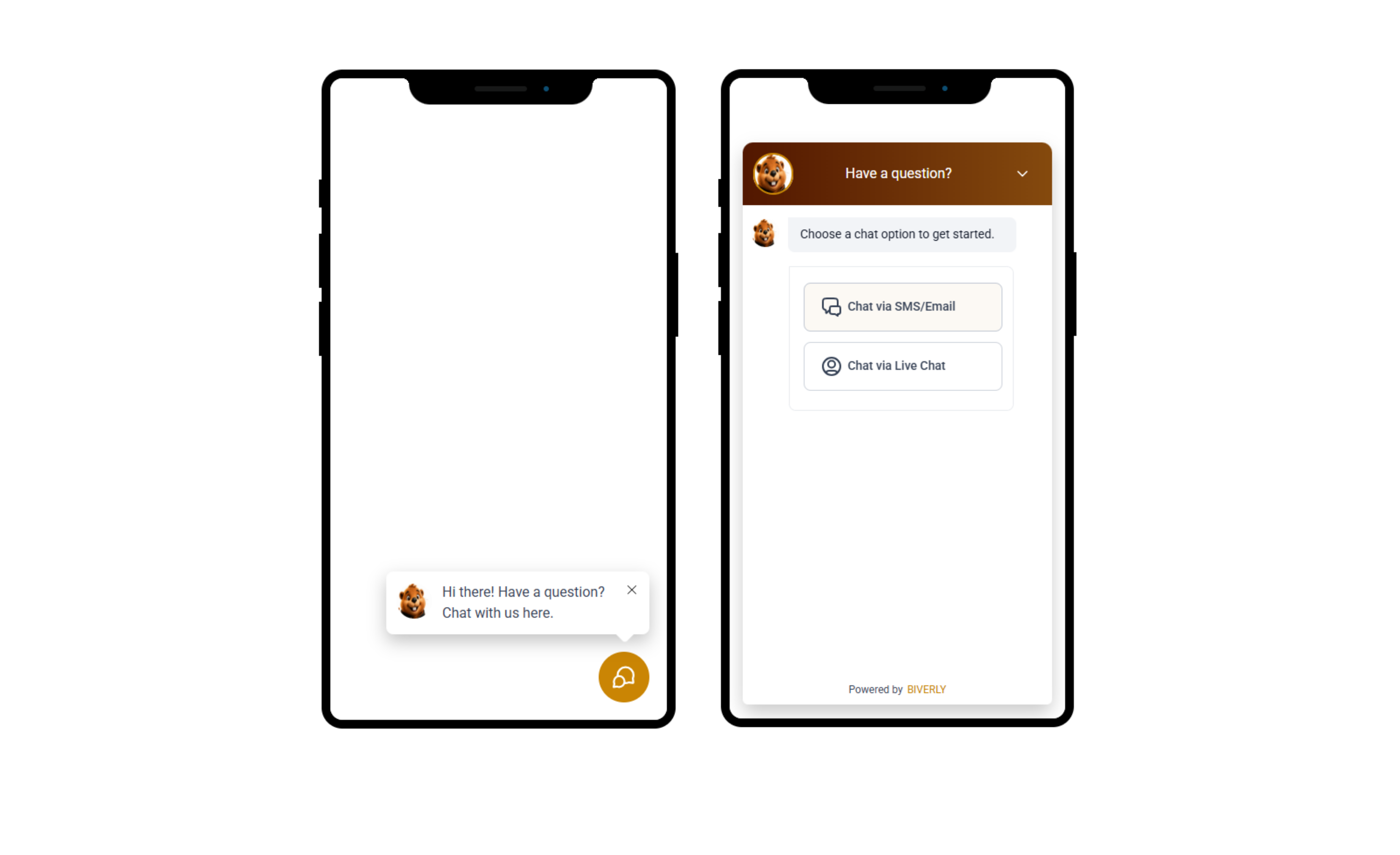 Chat Widget Setup (GoHighLevel)