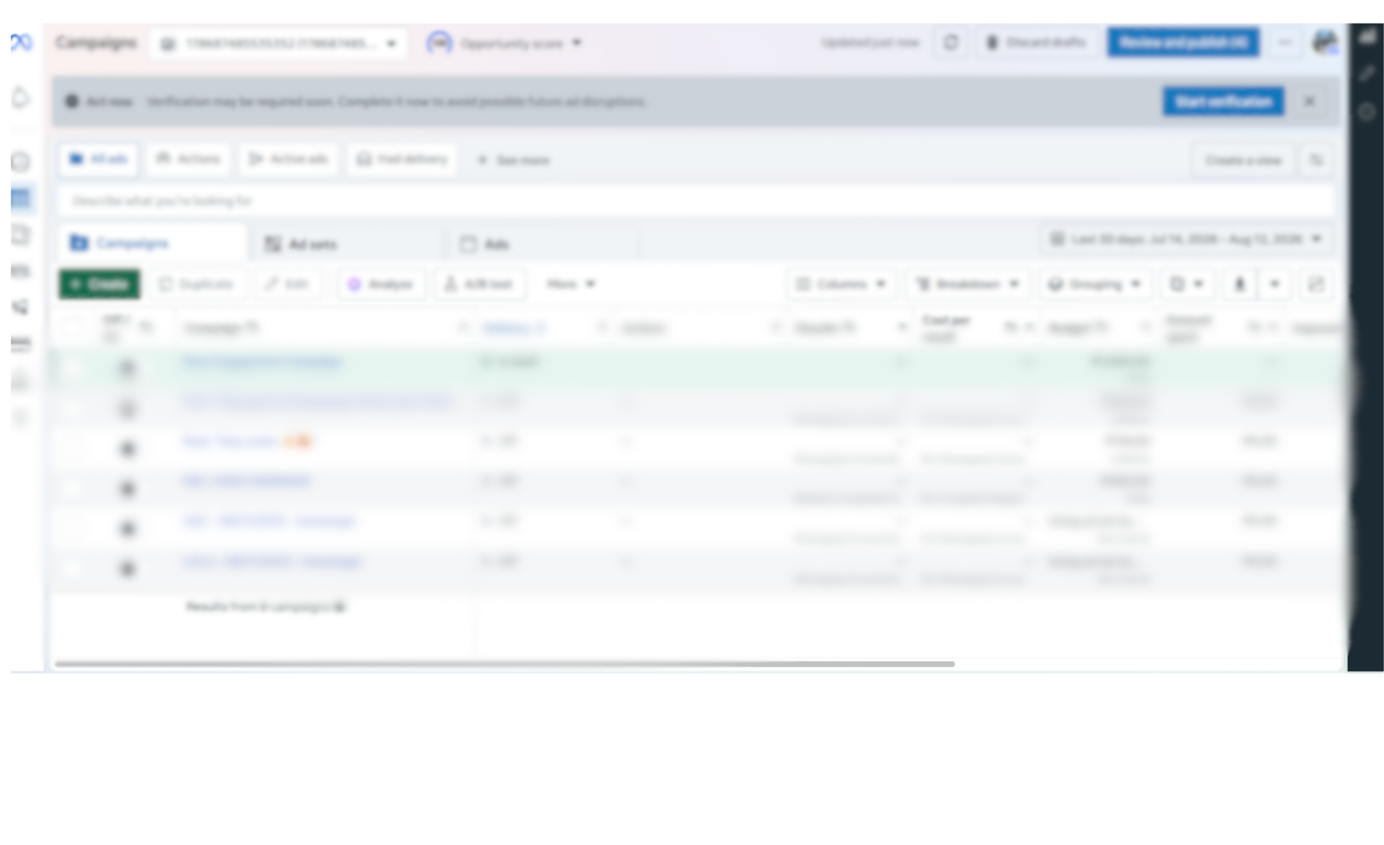 Facebook Ads Campaign — Meta Ads Optimization