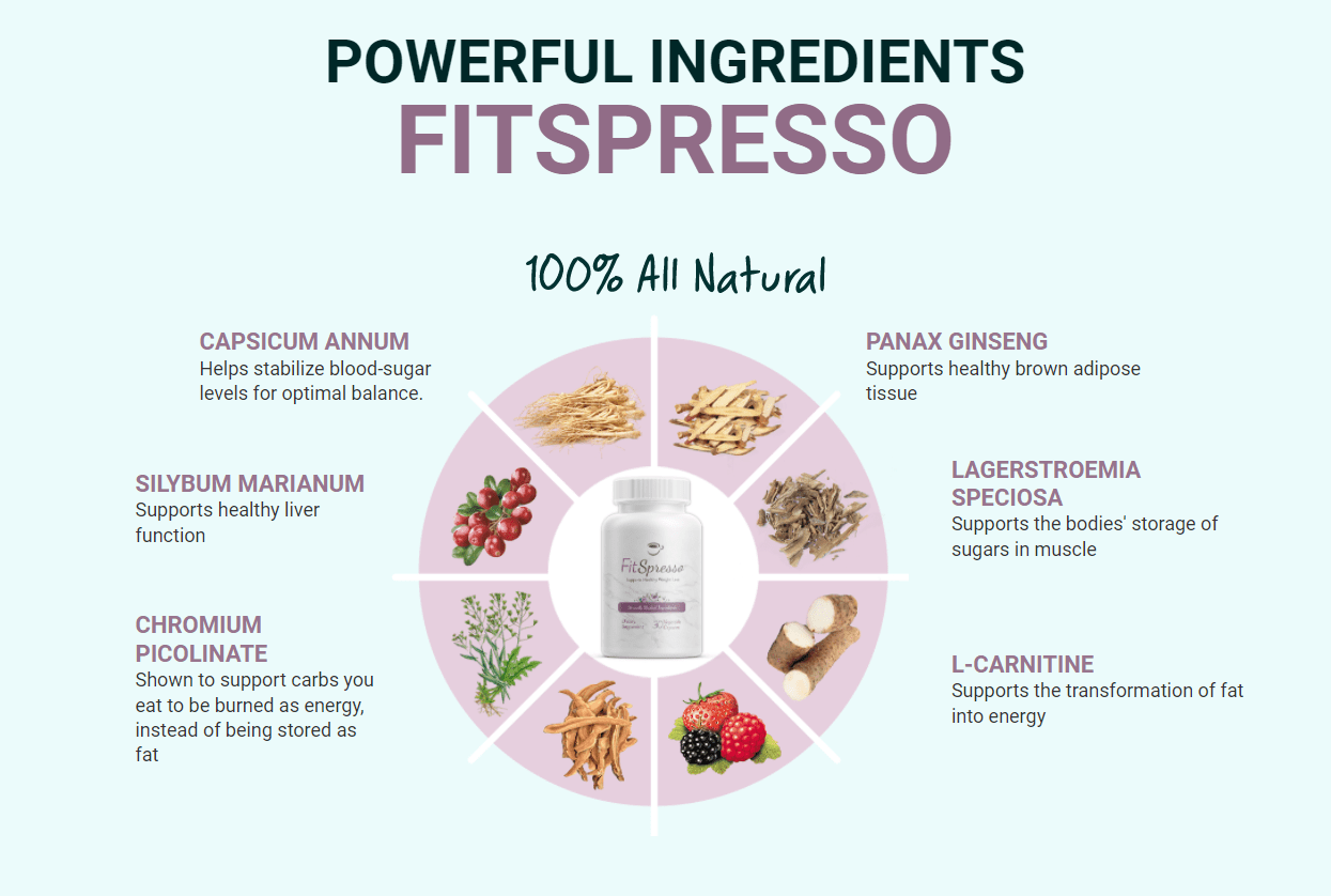 FitSpresso Ingredients