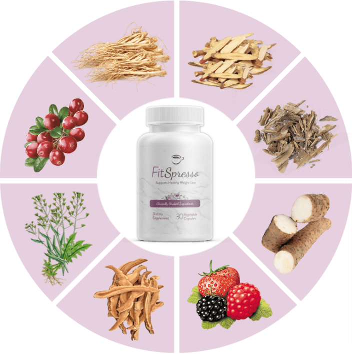 fitspresso Ingredients