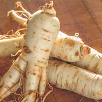 Amiclear Ginseng