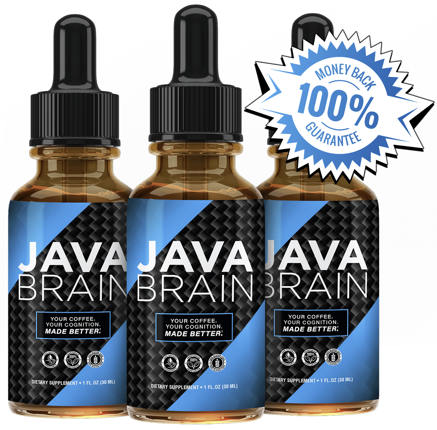 Java Brain™ | USA Official Website