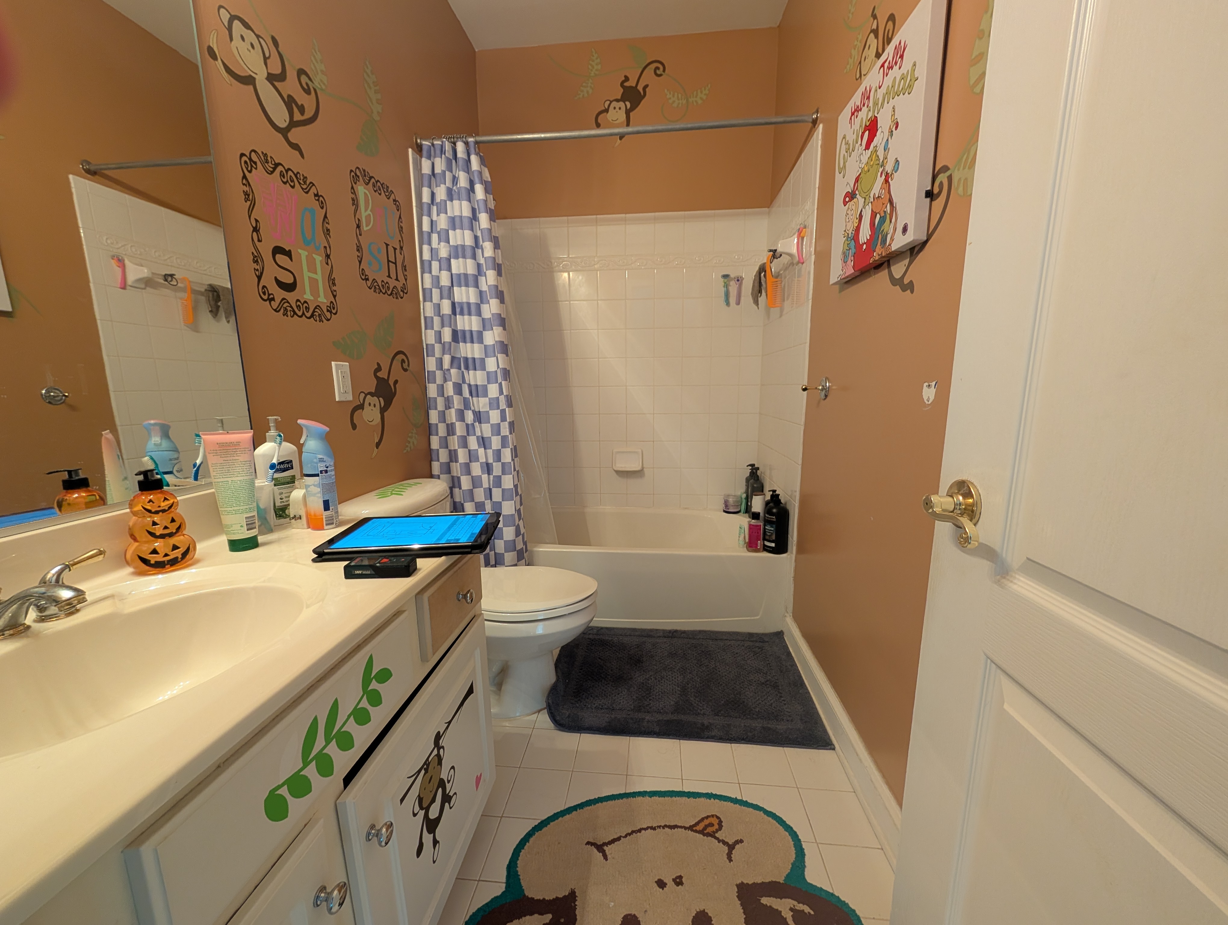 Before bathroom remodel 2