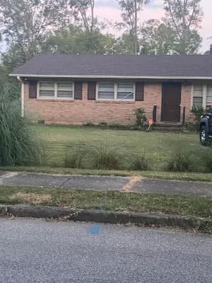 {{ custom_values.service_3 }} in {{custom_values.area_3})