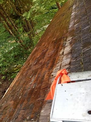 {{ custom_values.service_3 }} in {{custom_values.area_6})