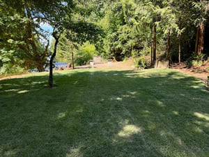 {{ custom_values.service_3 }} in {{custom_values.area_3})