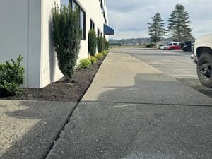 {{ custom_values.service_2 }} in {{custom_values.area_7})