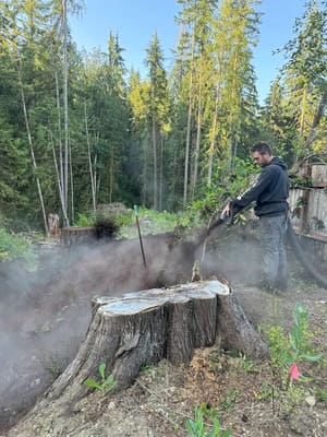 {{ custom_values.service_1 }} in {{custom_values.area_7})