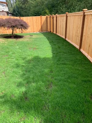 {{ custom_values.service_4 }} in {{custom_values.area_7})