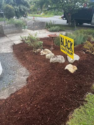 {{ custom_values.service_4 }} in {{custom_values.area_7})