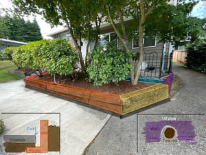 Holiday lights in Seattle