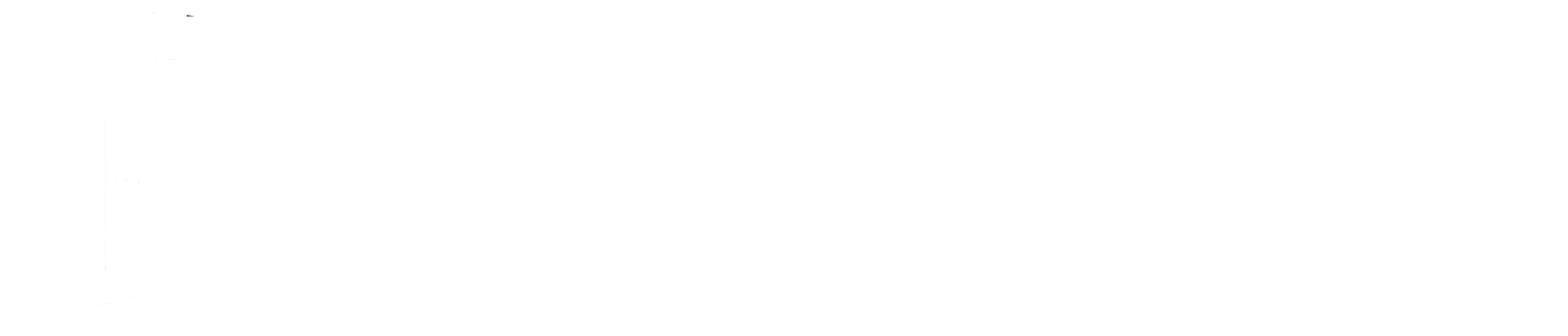Monica Goodpaster, Financial Consultant