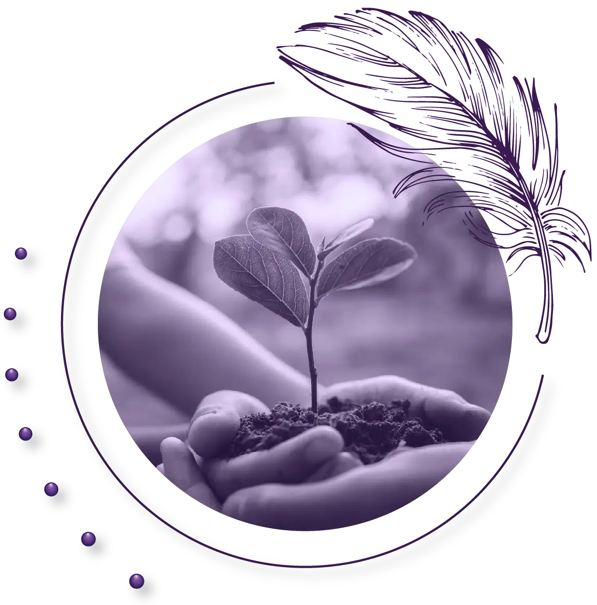 Hands holding a sapling