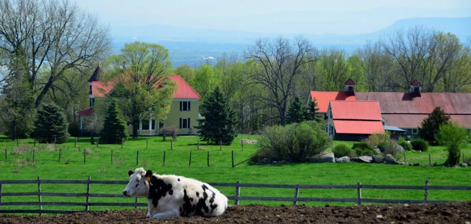 Pasture, woodland and the lake view