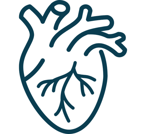 Cardiovascular and metabolic markers
