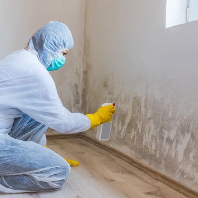 {{ custom_values.service_4 }} in {{custom_values.area_3})