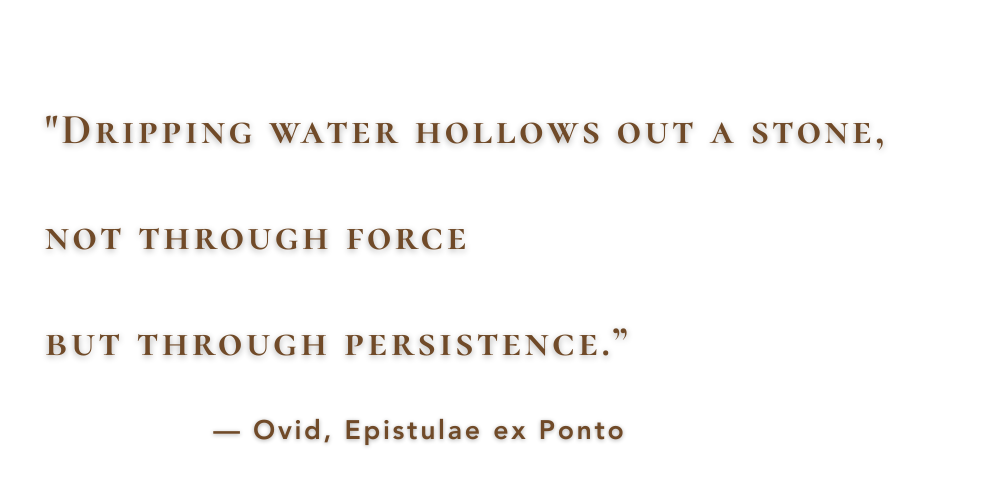 Graphic featuring a quote: 'Dripping water hollows out a stone, not through force but through persistence.' — Ovid, Epistulae ex Ponto.