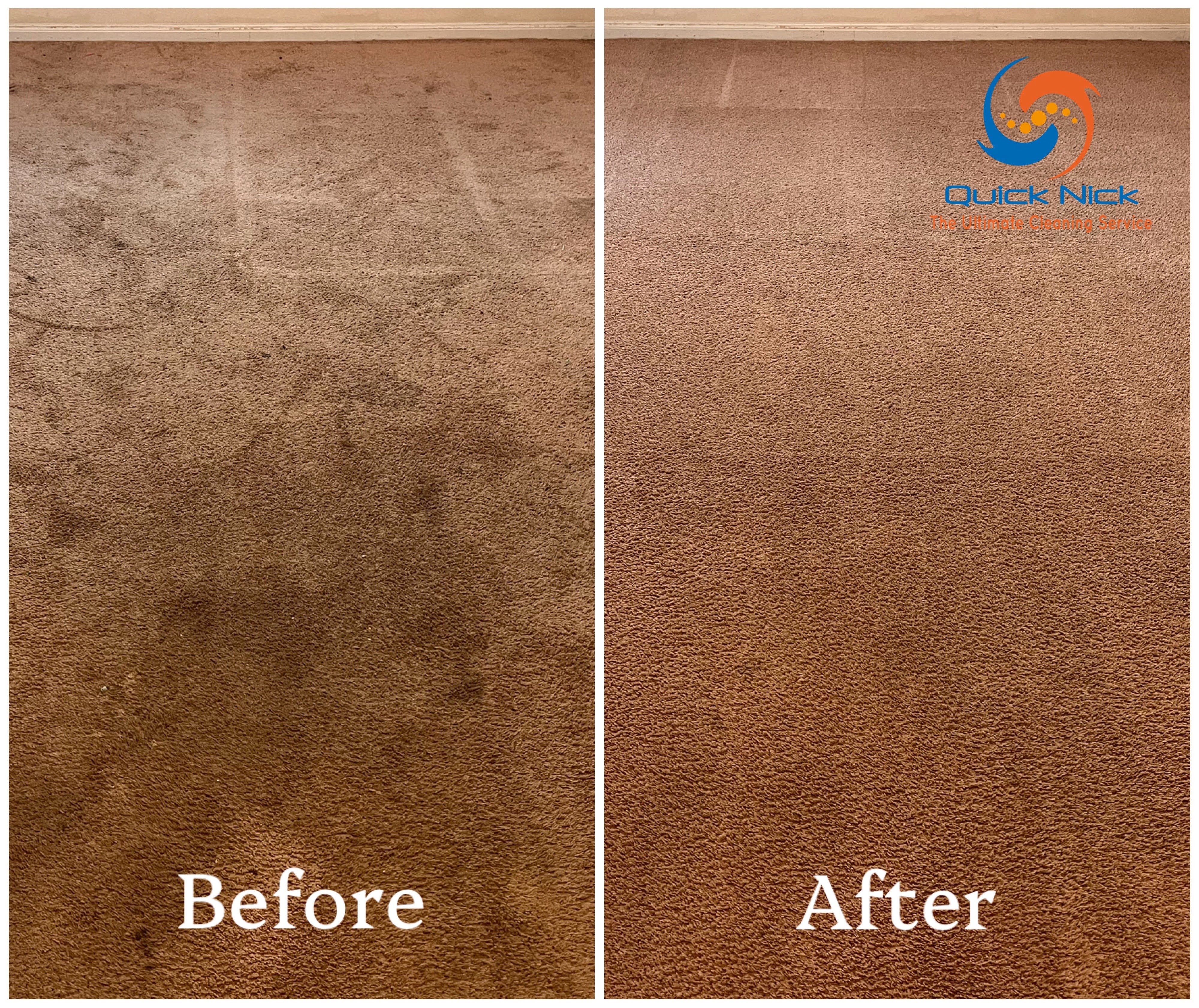 professional carpet cleaning professional carpet cleaning