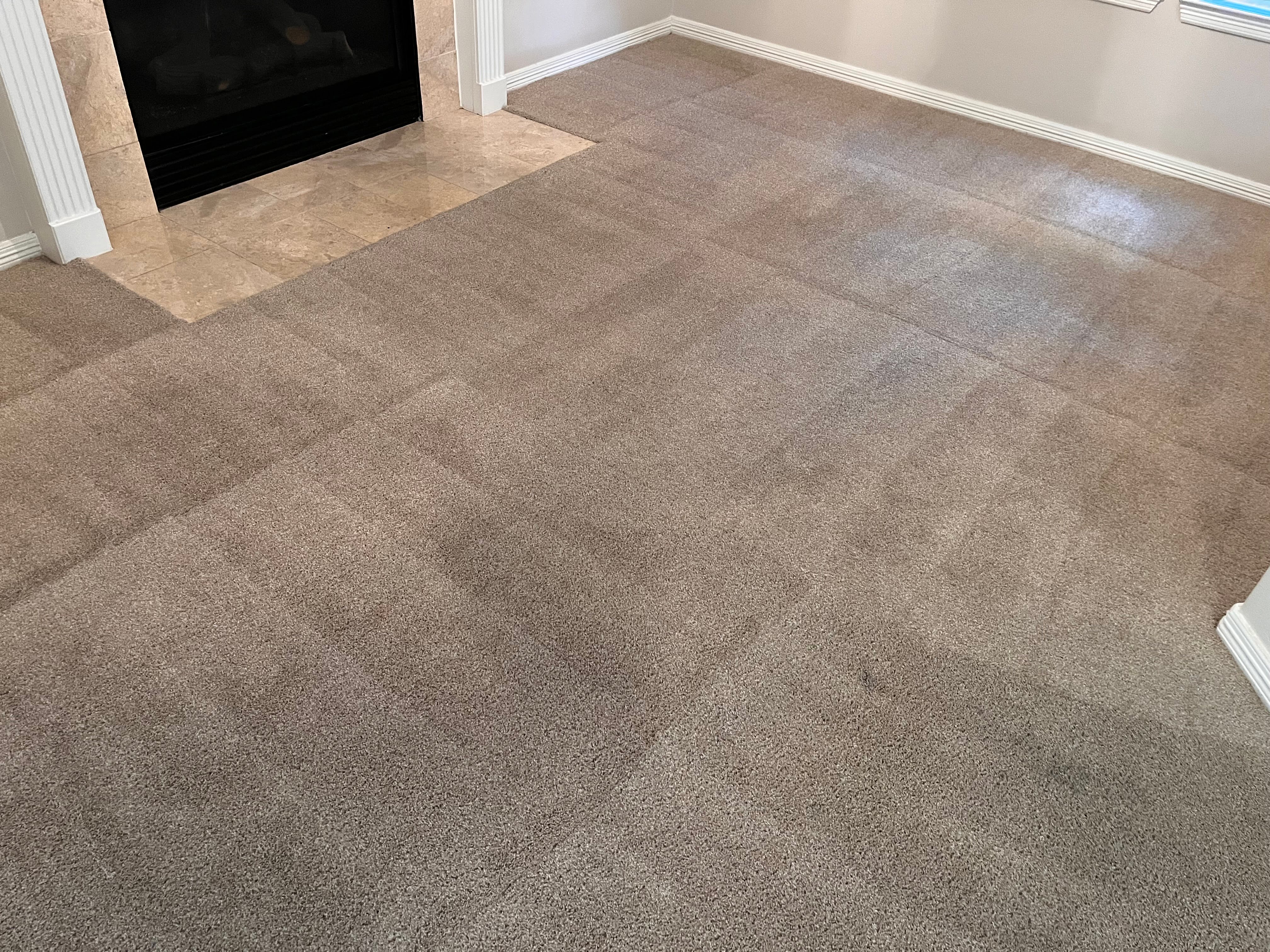 Carpet cleaned professionally Carpet cleaned professionally