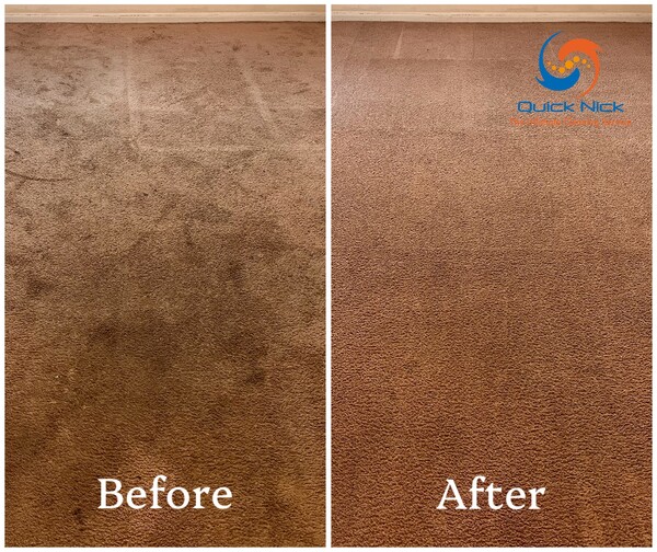 Frequent cleaning helps maintain carpets