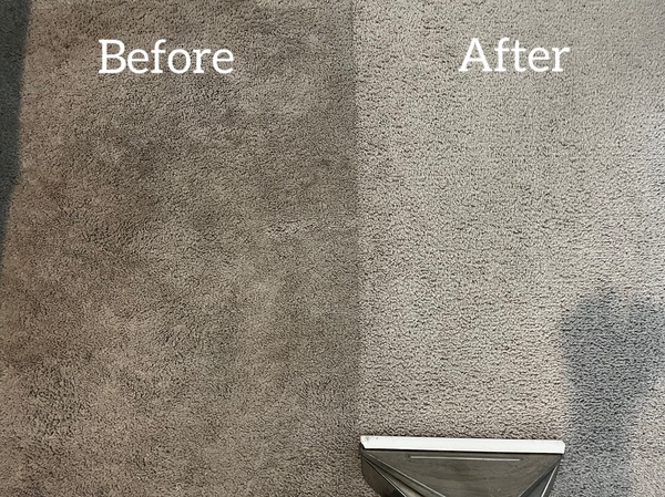 Before and after professional carpet cleaning Before and after professional carpet cleaning