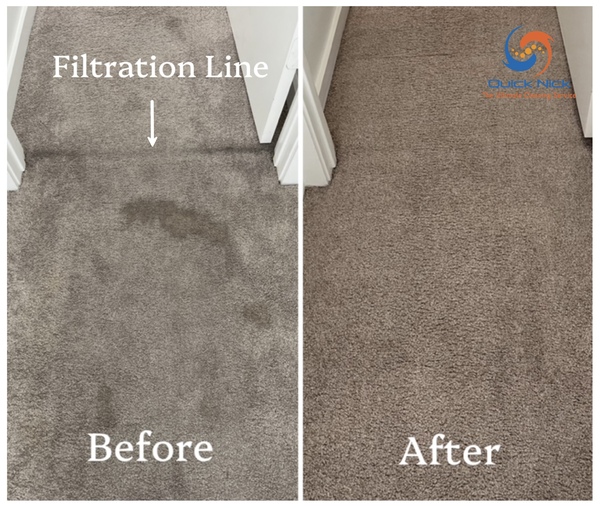 Removing filtration lines on carpet Removing filtration lines on carpet