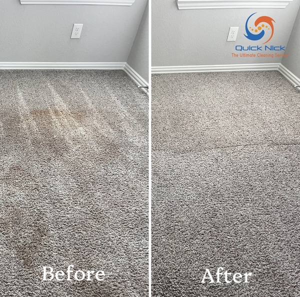 Applying enzymes helps break down pet stains and neutralize odors Applying enzymes helps break down pet stains and neutralize odors