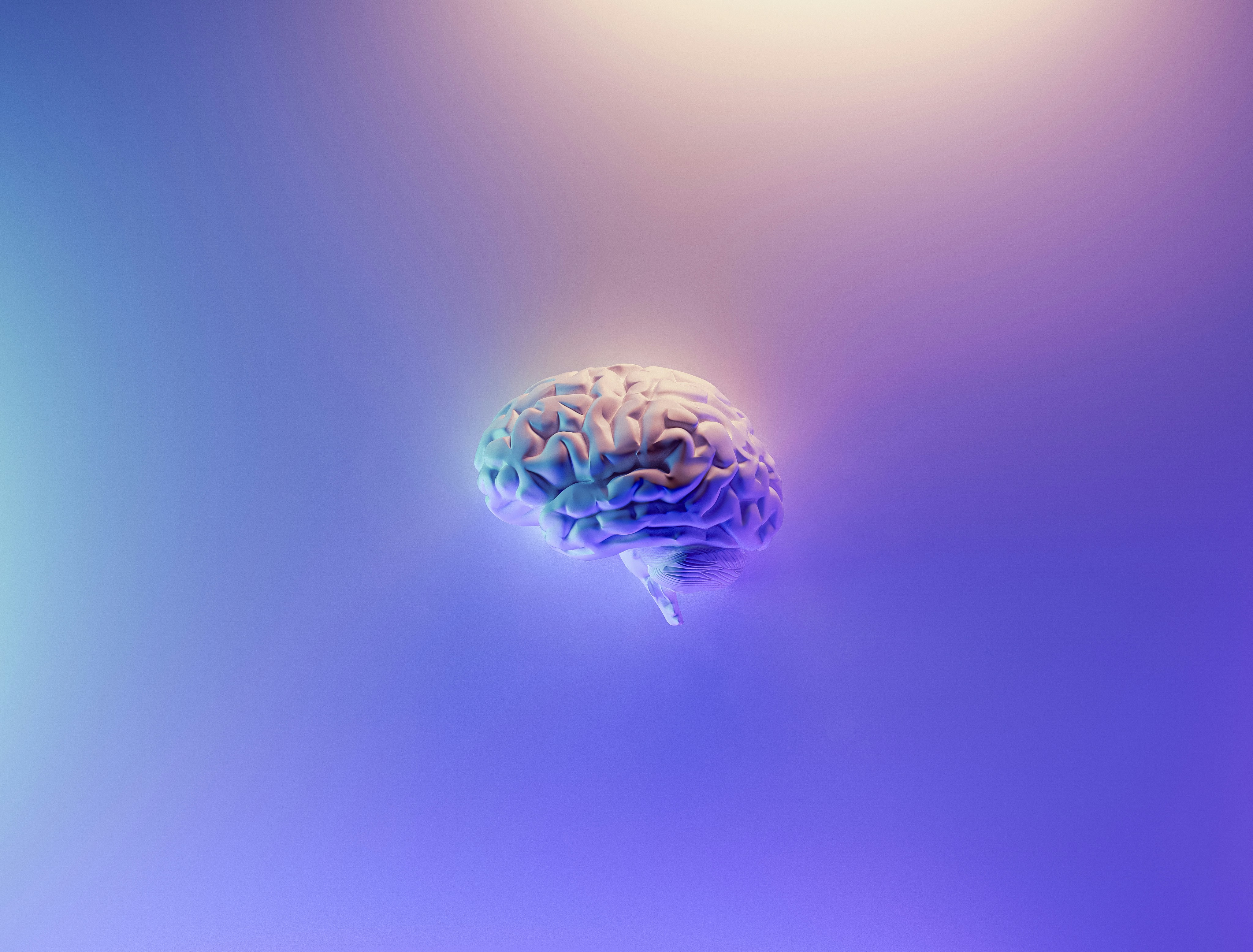 Graphic brain Graphic brain