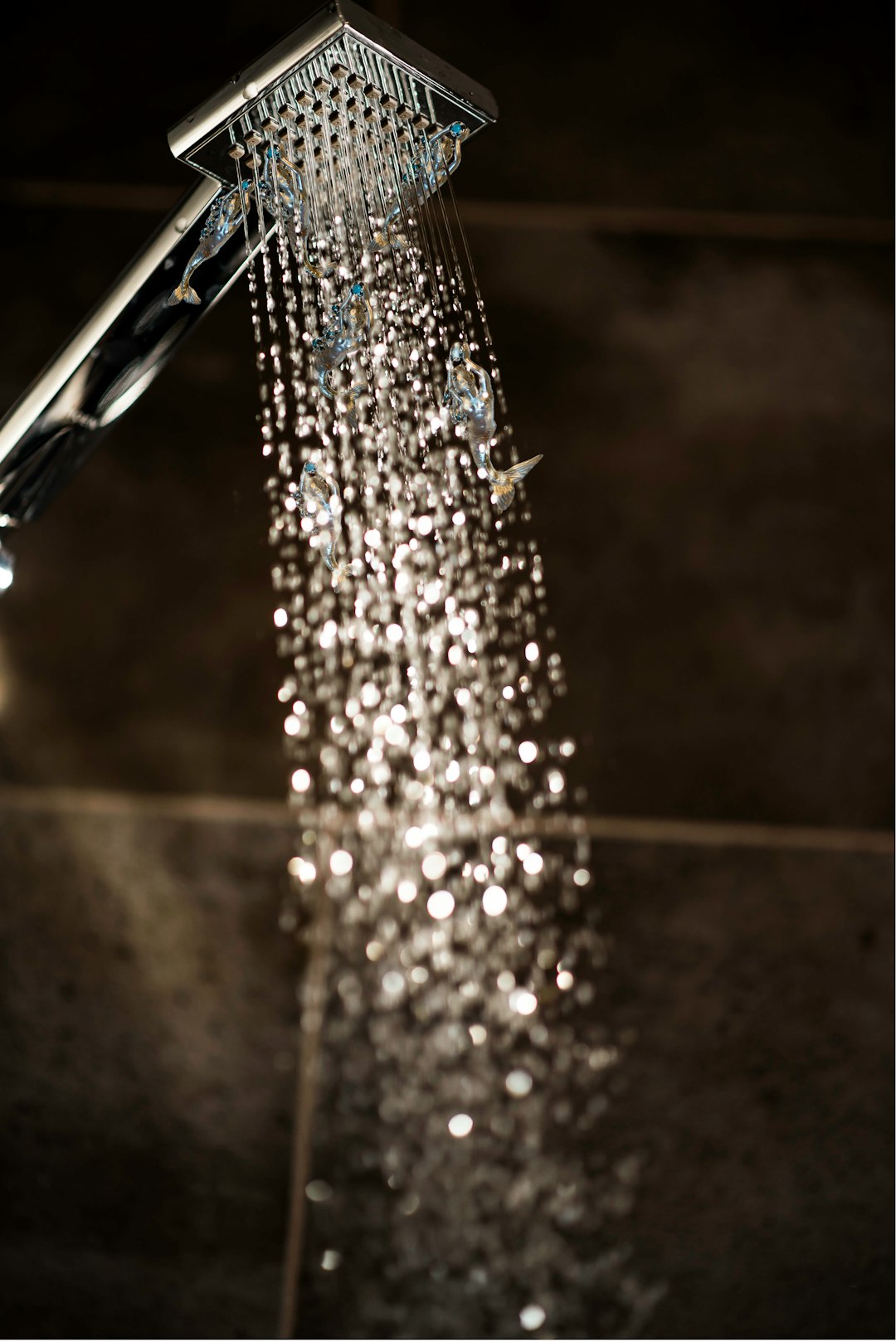 Ariston Shower