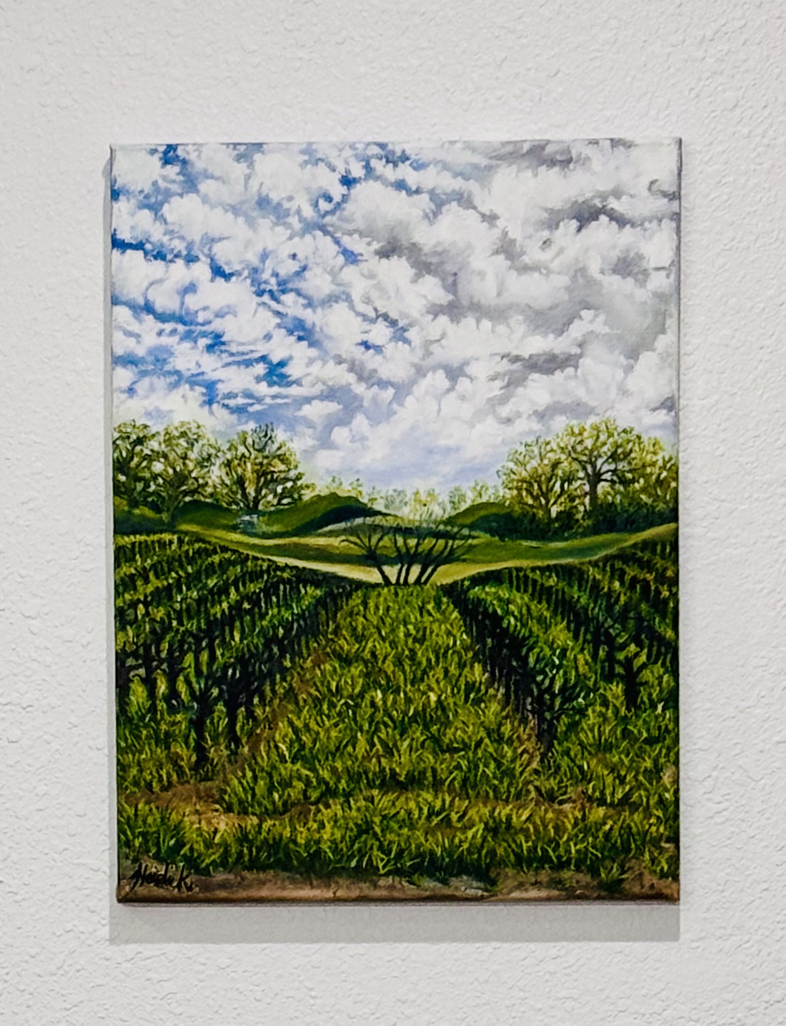 Winery Hills