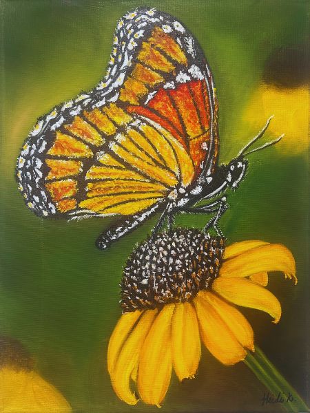 Wings of Beauty