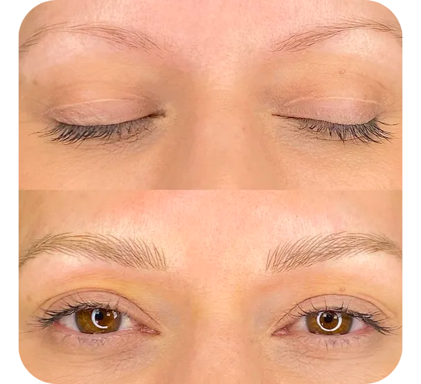 Extra Perfecting Brows - Browhouse.com
