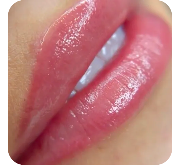 Color Boost Lips - Browhouse.com