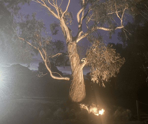 Data & TV Cabling Services Hurstbridge