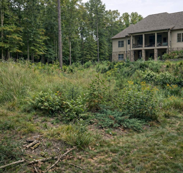 Before: Unfinished backyard