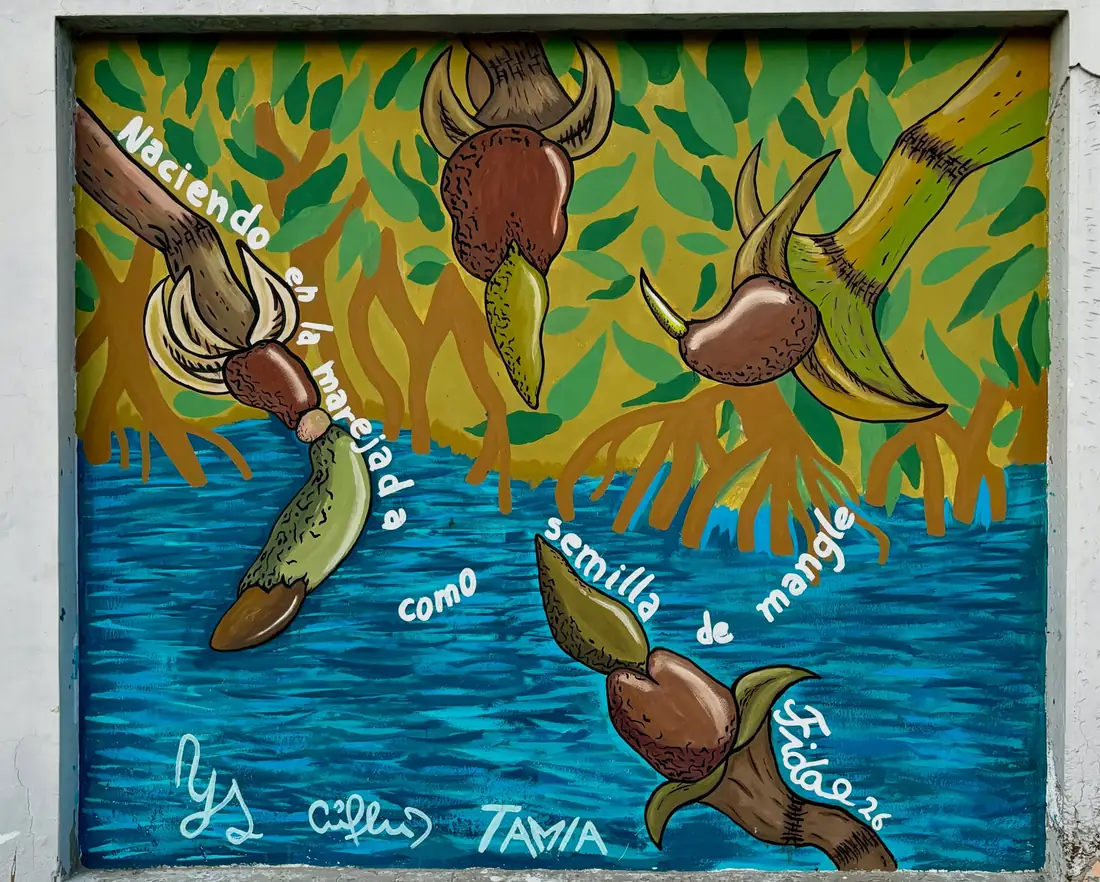 Mural de manglar con semillas de mangle cayendo al agua