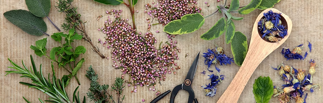 Green Home Cleaning naturally derived handmade cleaning ingredients