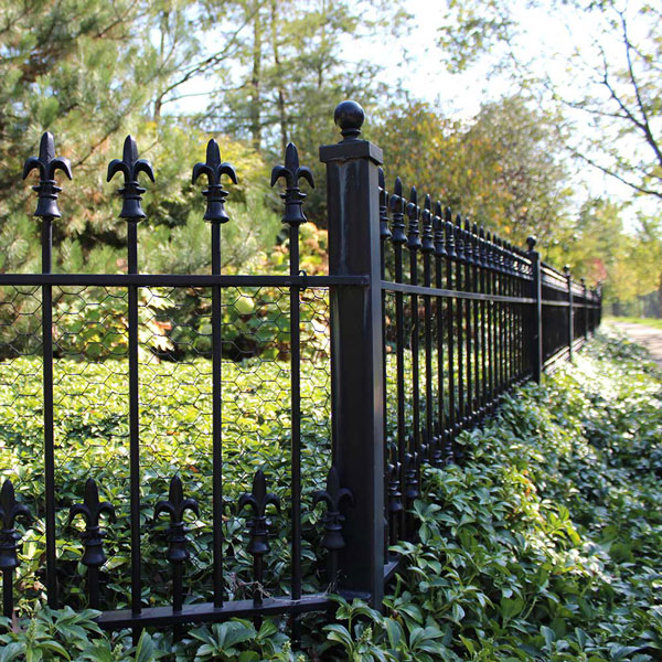 Cast Iron Fence