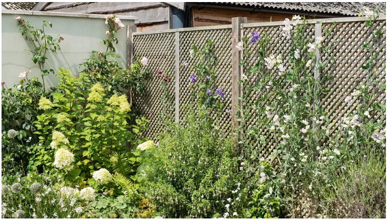 Climber Fence