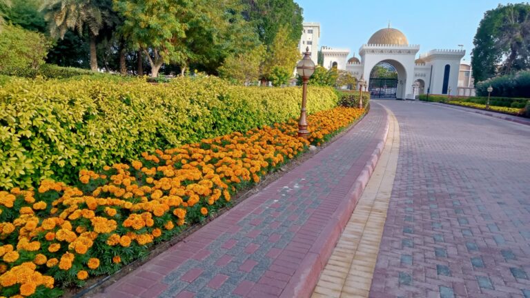 Gudaibiya Palace Image 1