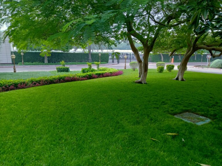 Gudaibiya Palace Image 3
