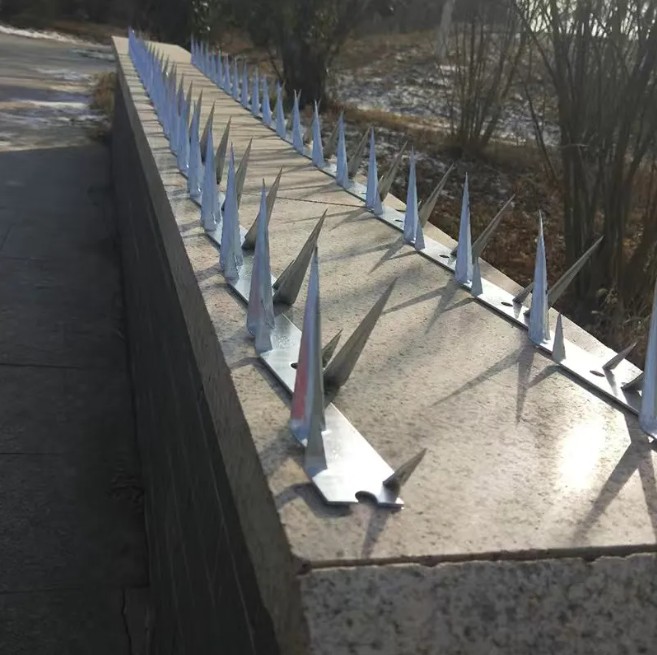 Wall Spikes