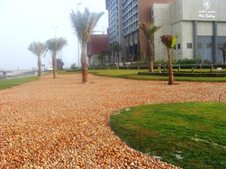 Bahrain City Center Interchange - Landscaping & Irrigation works 1