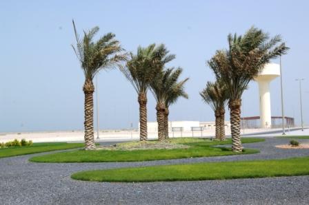 Bahrain International Investment Park – Landscaping & Irrigation Works 3