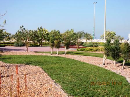 Bahrain International Investment Park – Landscaping & Irrigation Works 2