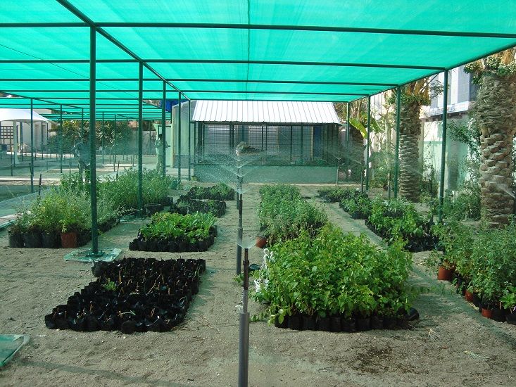 Construction of Nursery at Ministry of Education 3