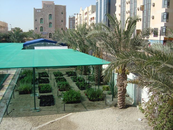 Construction of Nursery at Ministry of Education 2