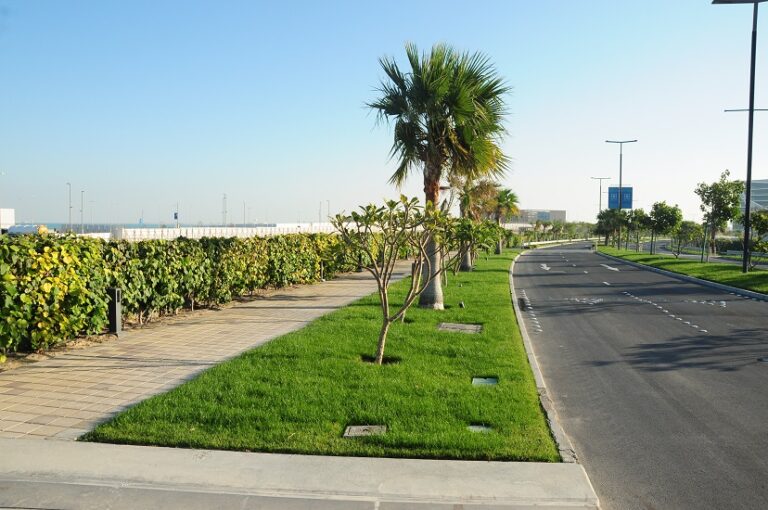 Landscaping works at Bahrain Bay-J2472 2