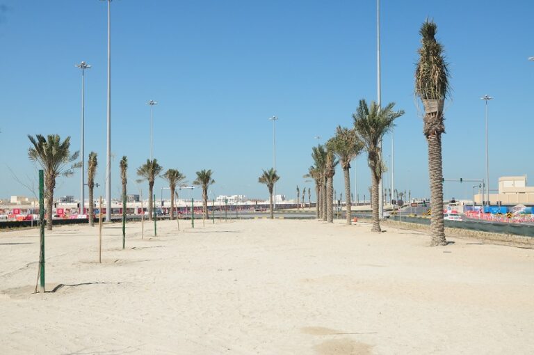 Landscaping works at Diyar Al Muharraq Median-J2505 3