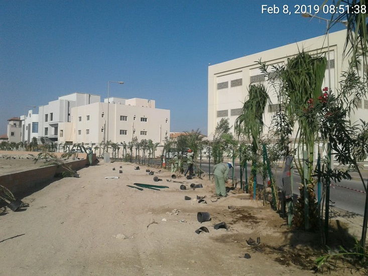 Saar Avenue 13-J2517 3
